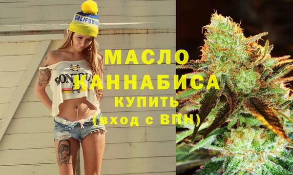 молекула духа Новозыбков